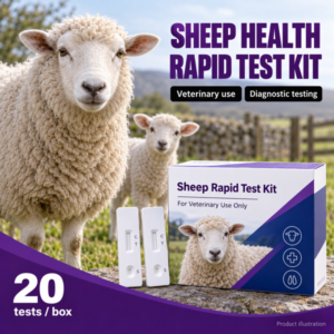 sheep 600 v2